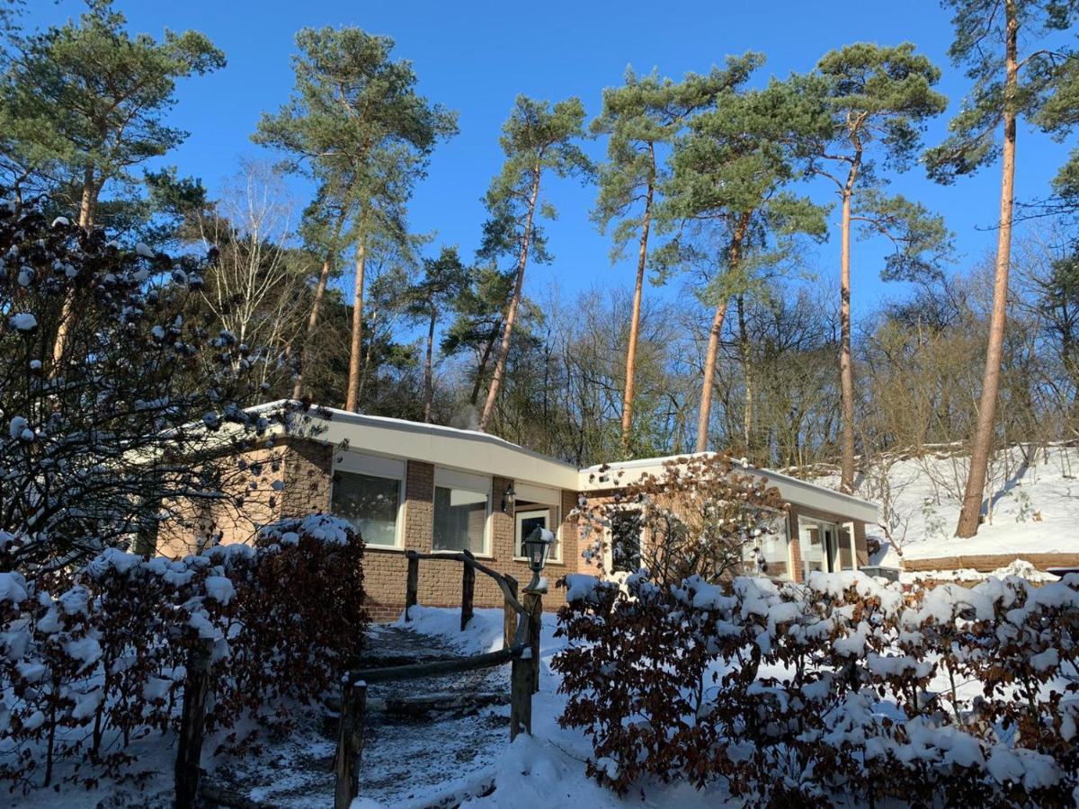 Het Fazantenbosje Villa Dalfsen Exterior photo