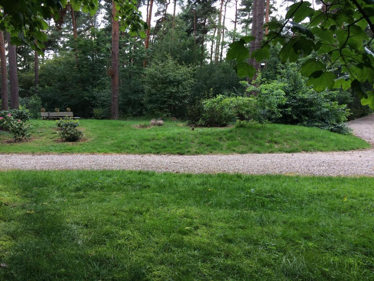 Het Fazantenbosje Villa Dalfsen Exterior photo